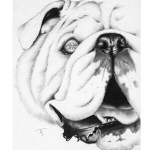 georgia bulldog uga print