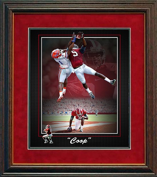 coop framed