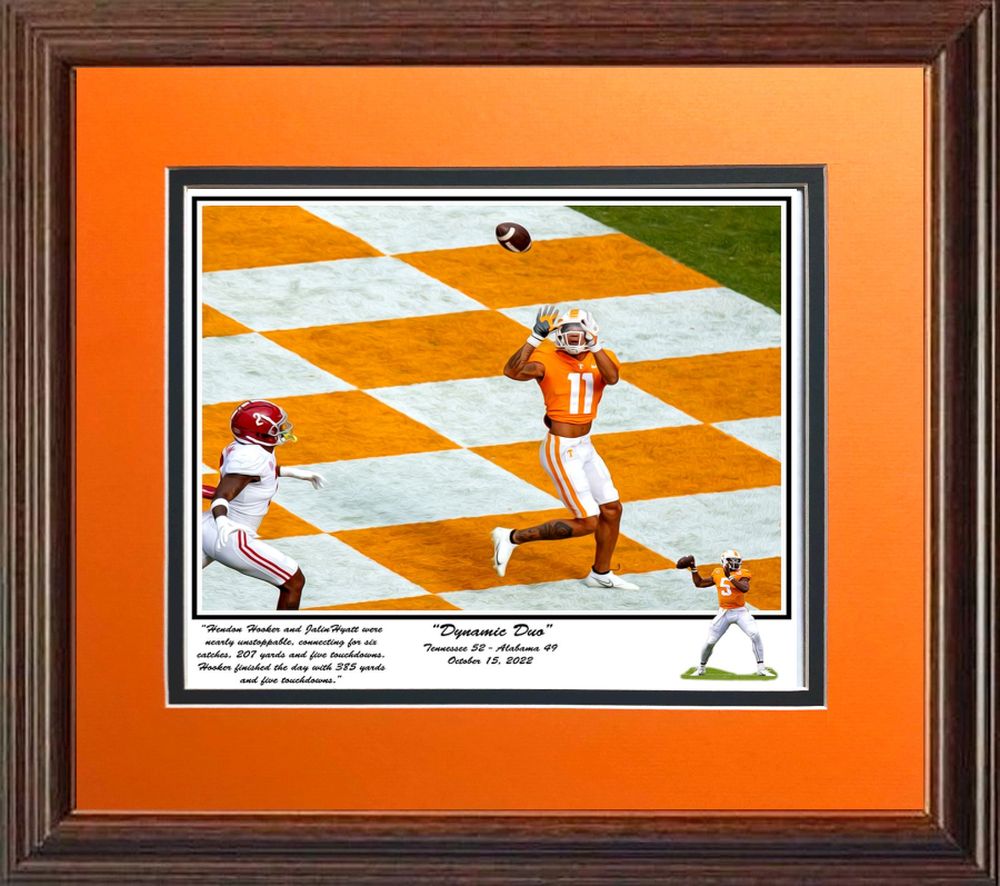 Dynamic Duo framed print