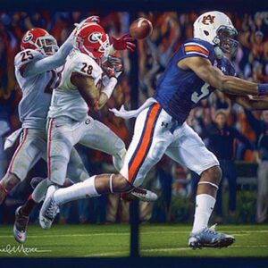miracle on the plains dm finished