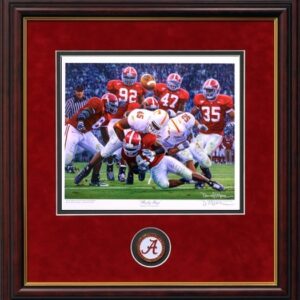 rocky stop framed coin dm