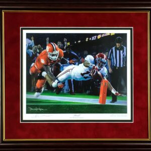 Daniel Moore Finish Framed