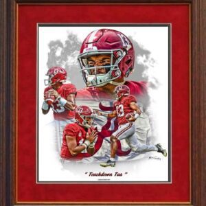 Touchdown Tua framed print by Tinney