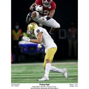 Flying High Najee Hurdle print by Spinozi