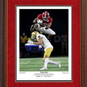 Flying High Najee Hurdle print by Spinozi framed