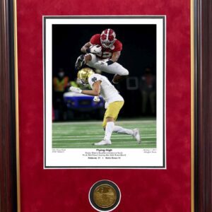 Flying High Najee Hurdle print by Spinozi framed with coin