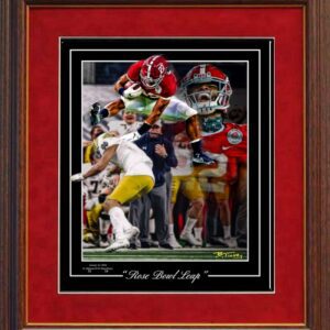 Rose Bowl Leap Framed by Tinney
