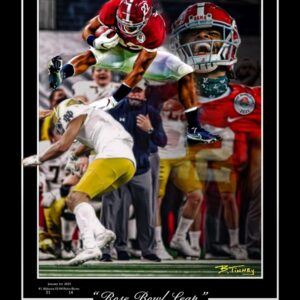 Rose Bowl Leap print by Tinney